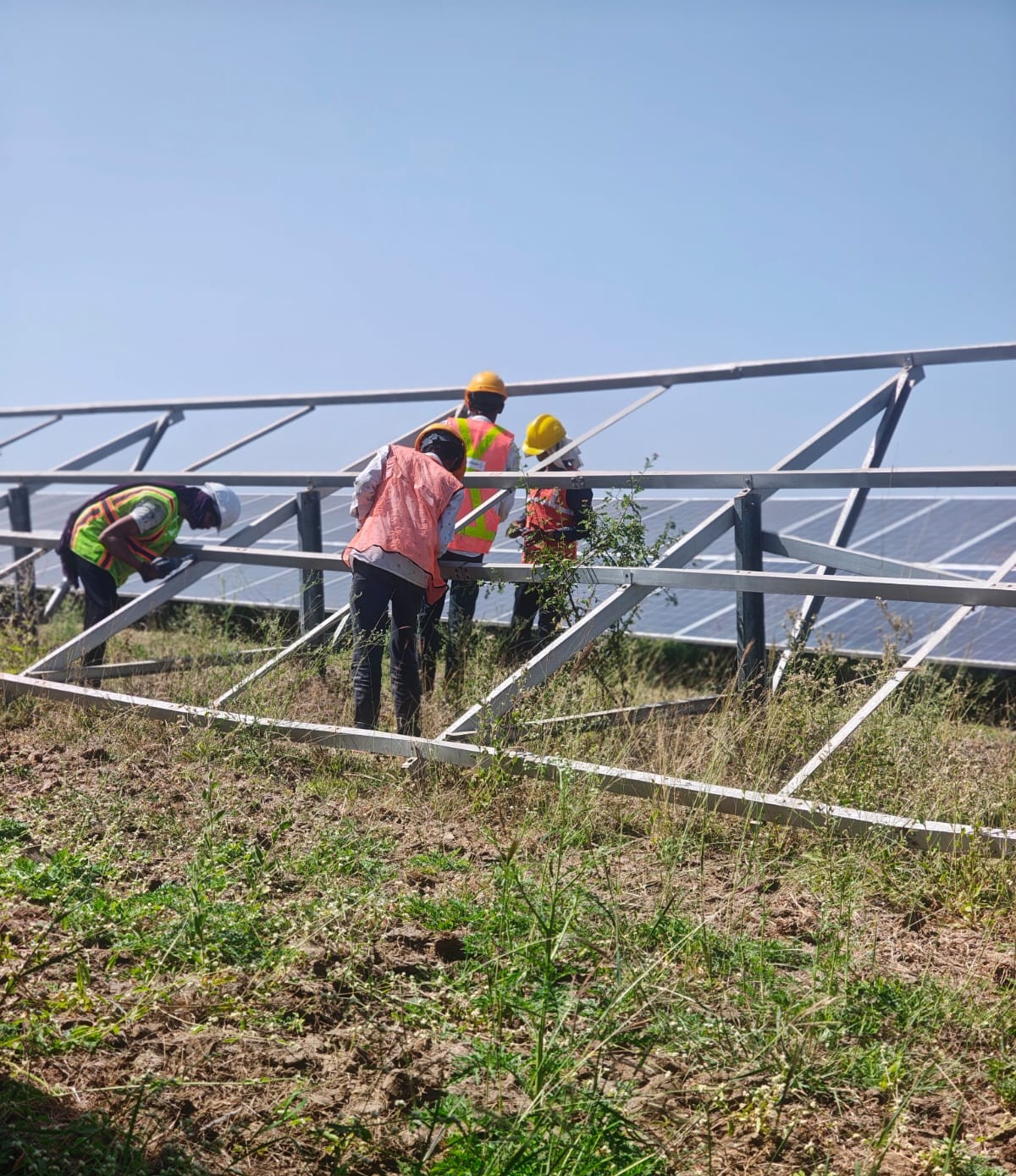 Ground-Mount Solar Farm Setup