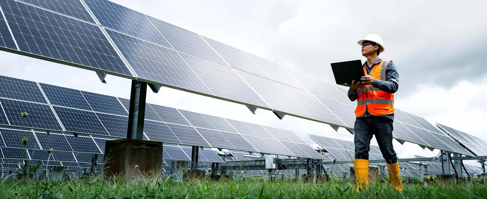 solar panels